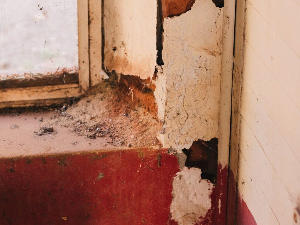 Feuchter Fleck an der Kellerwand, Leckortung in Balgach, vor der Reinigung